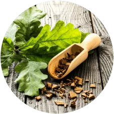 Экстракт босвеллии